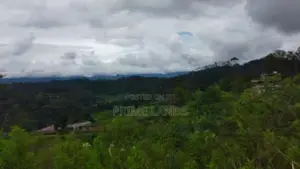 Land for Sale in Bandarawela Kontehela
