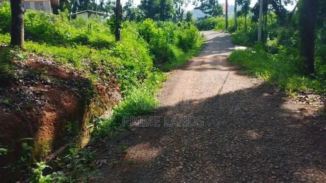 Residential Land for sale in Nelumdeniya