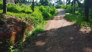 Residential Land for sale in Nelumdeniya