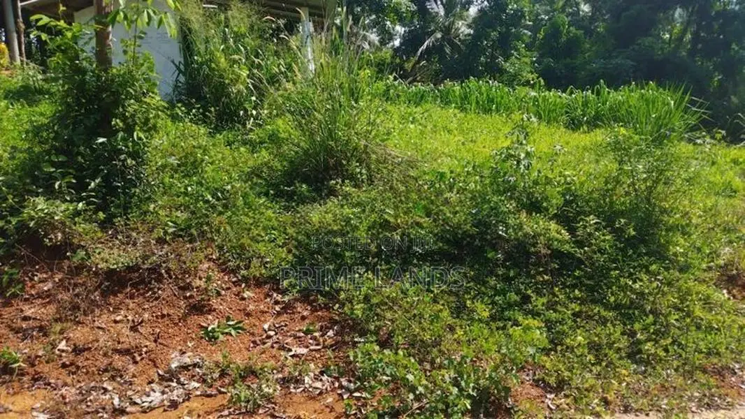 Residential Land for sale in Nelumdeniya