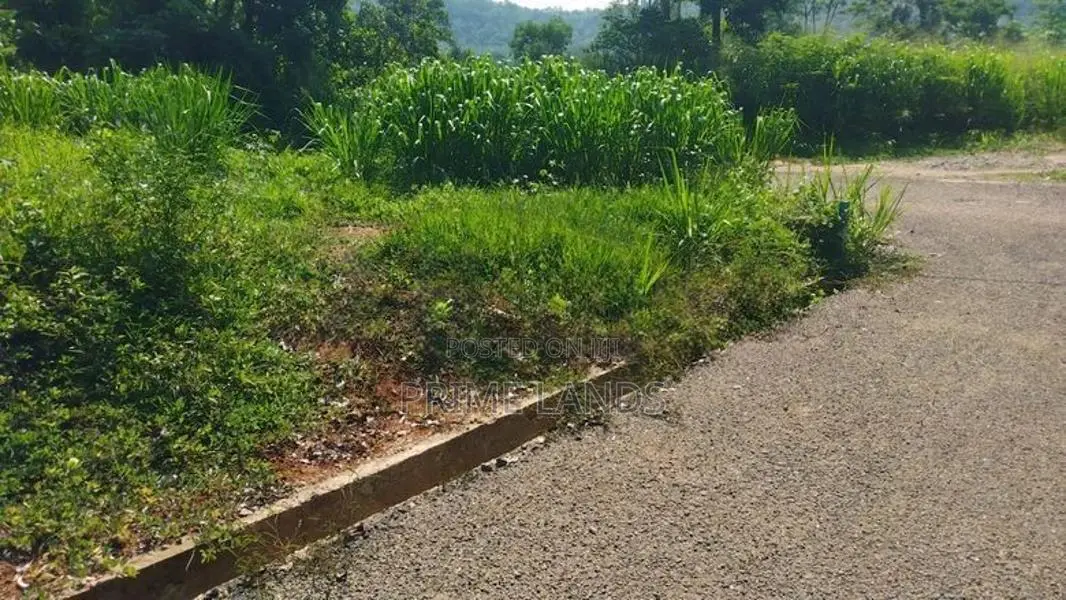 Residential Land for sale in Nelumdeniya