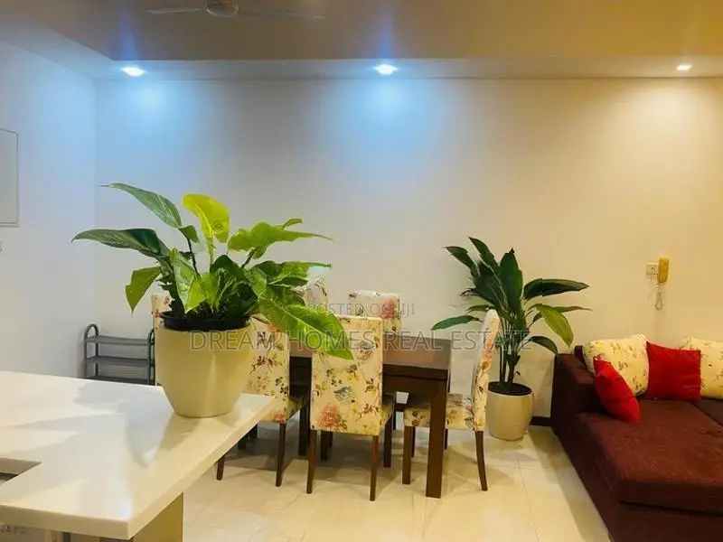 Brand New 2 Br Fully Furnished Apartment Rent – Colombo 7