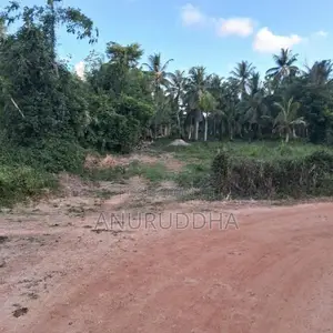 Valuable Land For Sale In Paluwelgala, Koswatta Marawila
