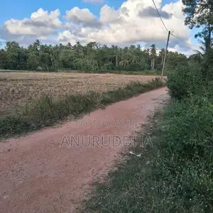 Valuable Land For Sale In Paluwelgala, Koswatta Marawila