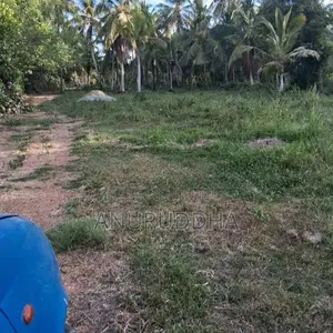 Valuable Land For Sale In Paluwelgala, Koswatta Marawila