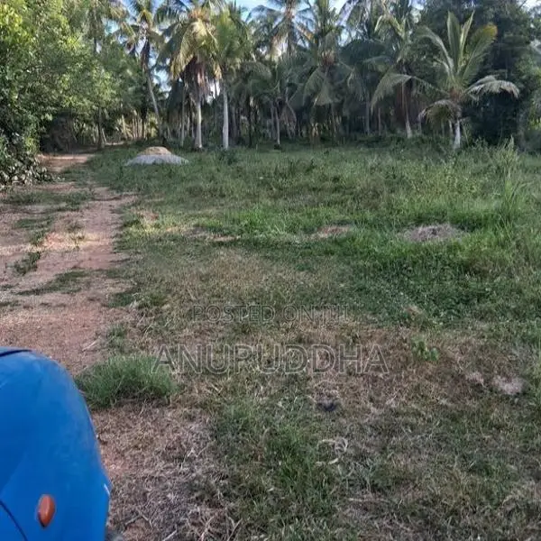 Valuable Land For Sale In Paluwelgala, Koswatta Marawila