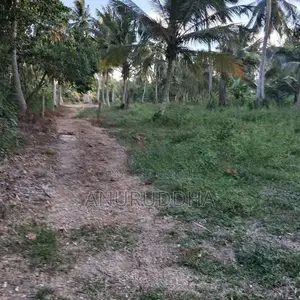Valuable Land For Sale In Paluwelgala, Koswatta Marawila