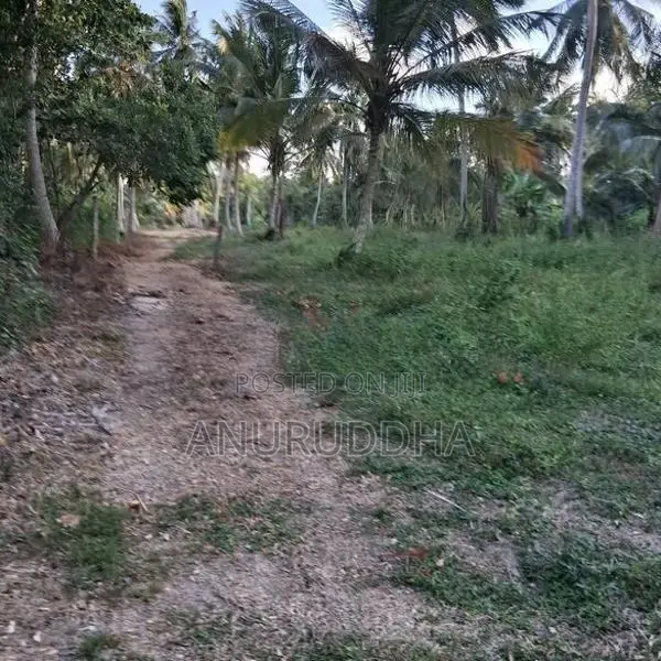 Valuable Land For Sale In Paluwelgala, Koswatta Marawila