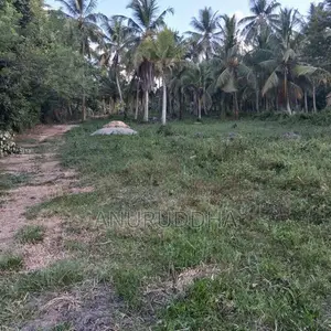Valuable Land For Sale In Paluwelgala, Koswatta Marawila