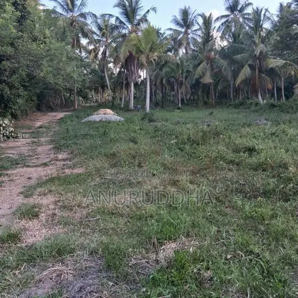 Valuable Land For Sale In Paluwelgala, Koswatta Marawila