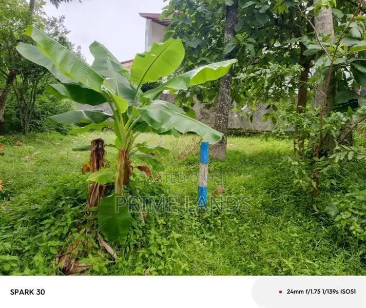 Land for Sale Talahena