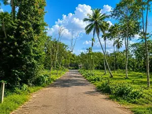 Koggla Lake Facing Land for Sale