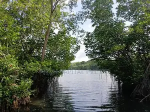 Koggla Lake Facing Land for Sale
