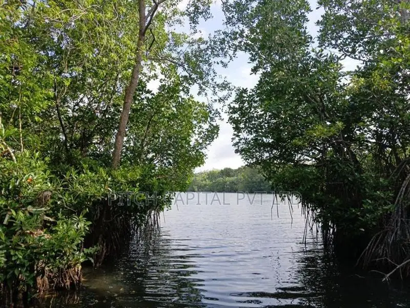 Koggla Lake Facing Land for Sale