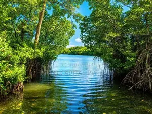 Koggla Lake Facing Land for Sale
