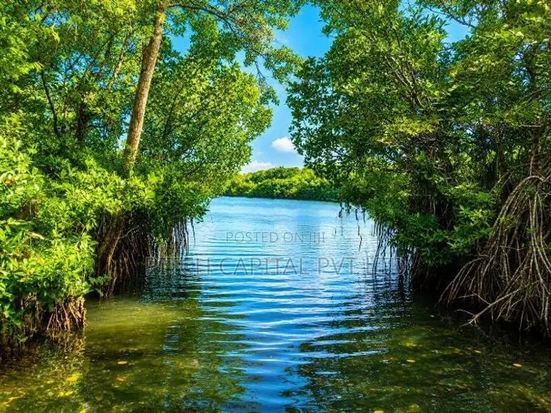 Koggla Lake Facing Land for Sale