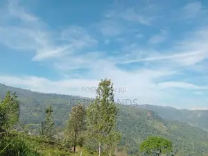 Land for Sale Pundaluoya Mountain Range
