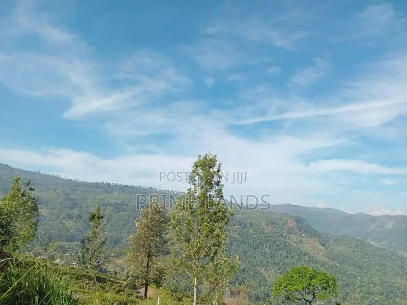 Land for Sale Pundaluoya Mountain Range