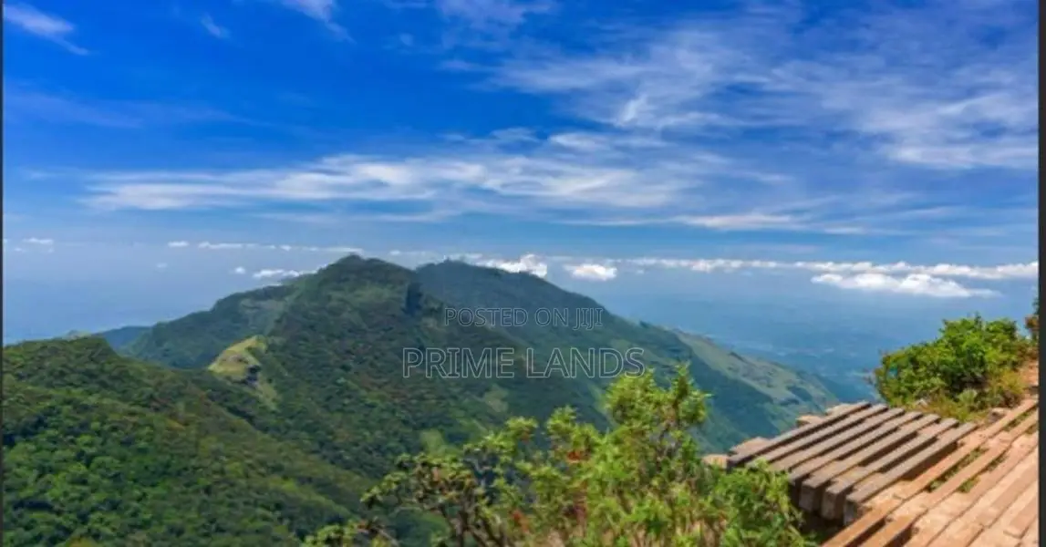 Land for Sale Pundaluoya Mountain Range