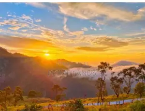 Land for Sale Nuwara Eliya Road Pundaluoya