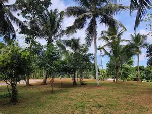 Land for Sale Koralaima