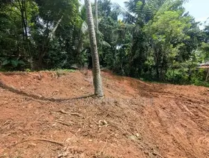 කළගෙඩිහේන සපුගස්තැන්න වනමල් උයන වටිනා ඉඩමක් විකිණිමට