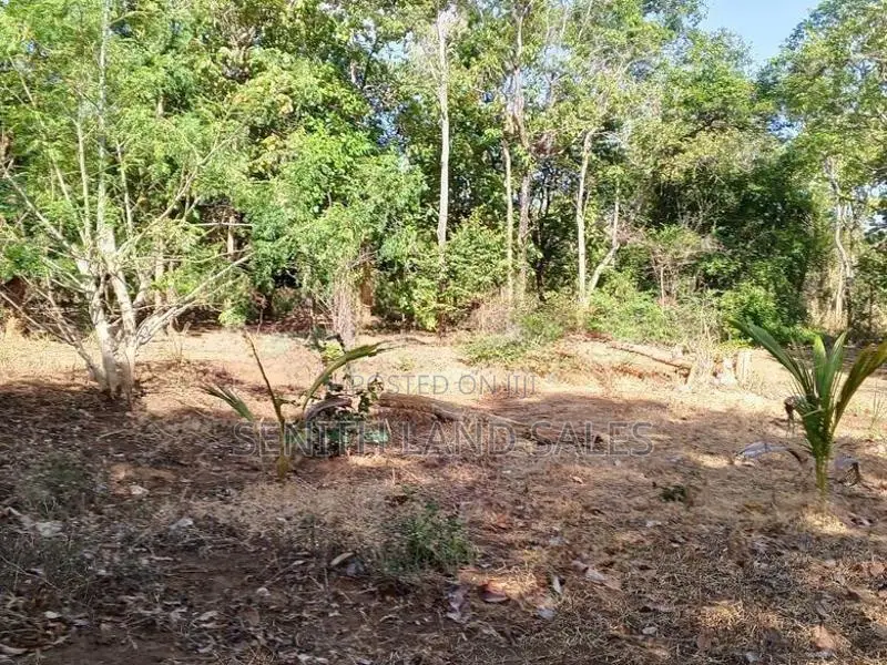 සංචාරක හොටෙල් සදහා සිගිරියන් ඉඩමක් ව්කිණිමට ඇත