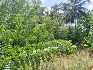 සංචාරක හොටෙල් සදහා සිගිරියන් ඉඩමක් ව්කිණිමට ඇත