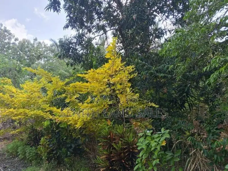 සංචාරක හොටෙල් සදහා සිගිරියන් ඉඩමක් ව්කිණිමට ඇත