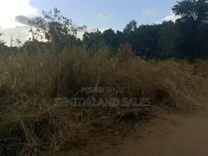 සිගිරිය අවටින් පර්චස් 80 ව්කිණිමට ඇත