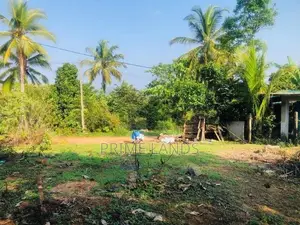 හොරන වටිනා බිම්කොටසක් විකිණීමට