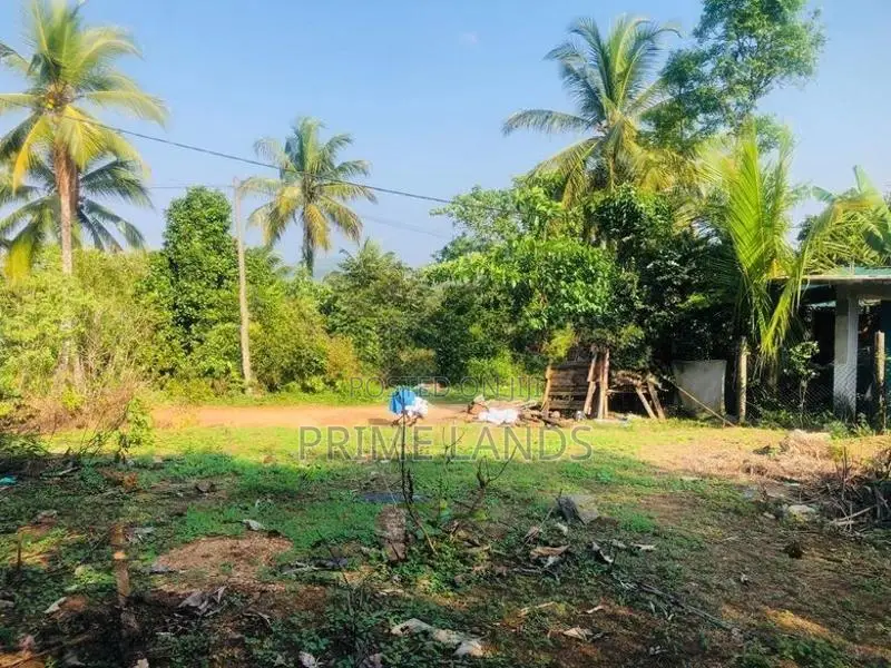 හොරන වටිනා බිම්කොටසක් විකිණීමට