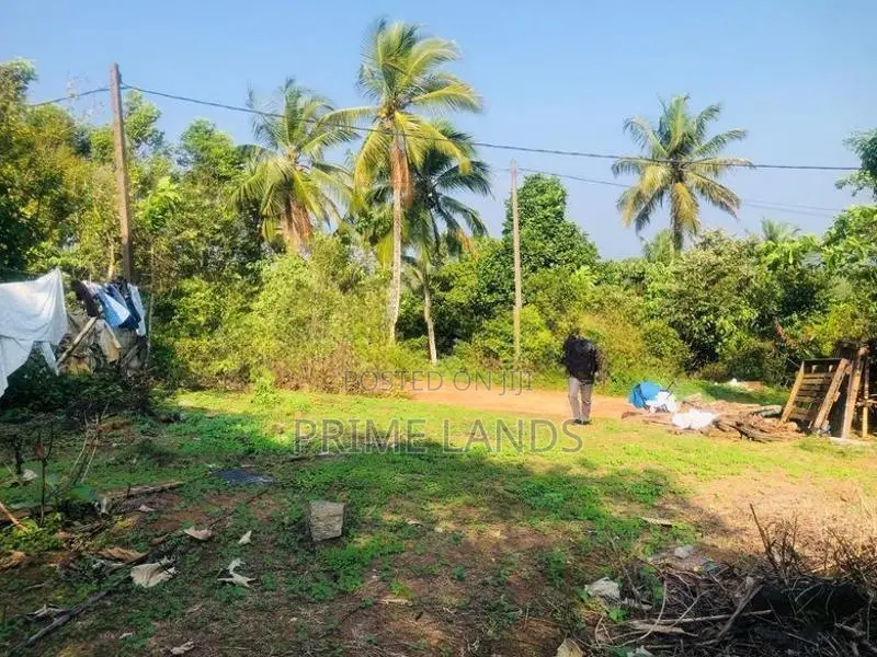 හොරන වටිනා බිම්කොටසක් විකිණීමට