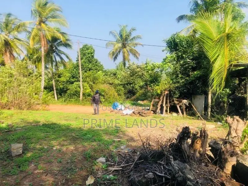 හොරන වටිනා බිම්කොටසක් විකිණීමට