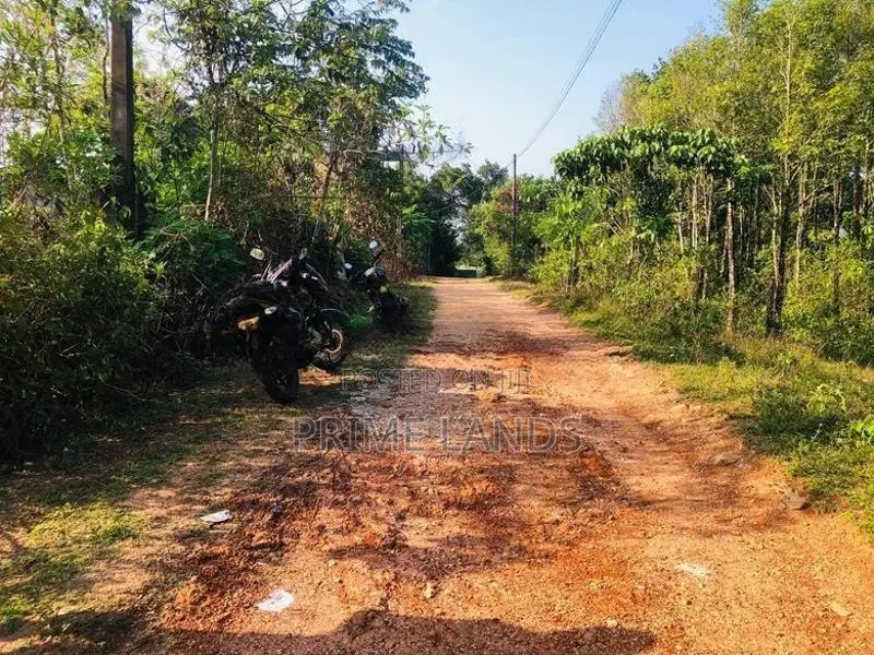 හොරන වටිනා බිම්කොටසක් විකිණීමට