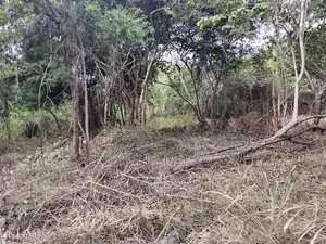 සංචාරක හොටෙල් සදහා ඉතා සුදුසු .ඉඩමක්.සිගිරිය න්..ව්කිණිමට ඇත