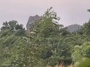 සිගිරිය අවටින් සංචාරක හොටෙල් සදාහා ඉඩමක්.ව්කිණිමට ඇත