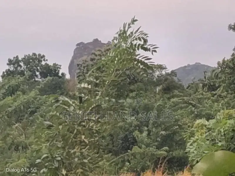 සිගිරිය අවටින් සංචාරක හොටෙල් සදාහා ඉඩමක්.ව්කිණිමට ඇත