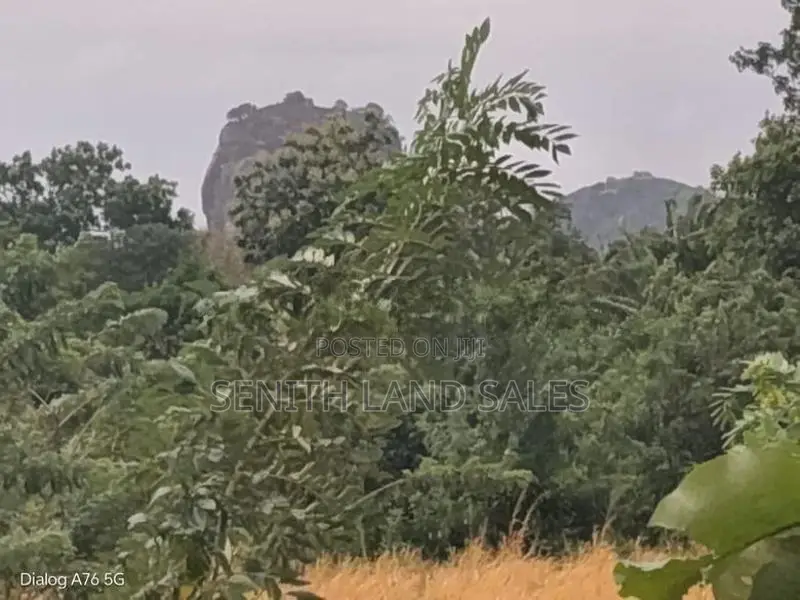 සිගිරිය අවටින් සංචාරක හොටෙල් සදාහා ඉඩමක්.ව්කිණිමට ඇත