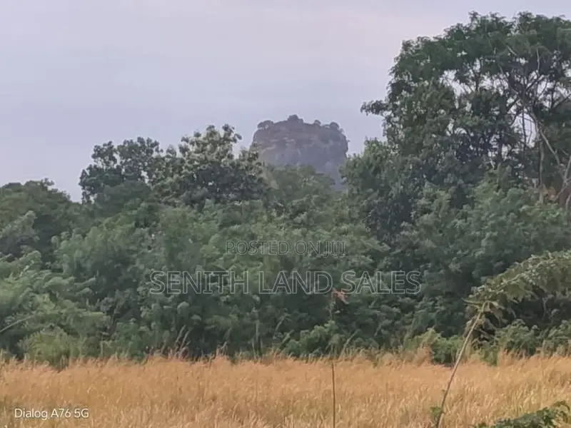 සිගිරිය අවටින් සංචාරක හොටෙල් සදාහා ඉඩමක්.ව්කිණිමට ඇත