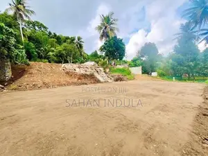 Prime 35-Perch Commercial Land for Lease – Heart of Horana