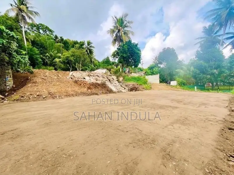 Prime 35-Perch Commercial Land for Lease – Heart of Horana