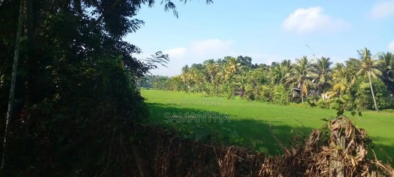 Kiribathgoda- delgoda paddy field facing 24 perch land for sale .