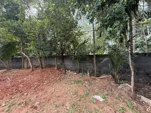 Land For Sale - Matale