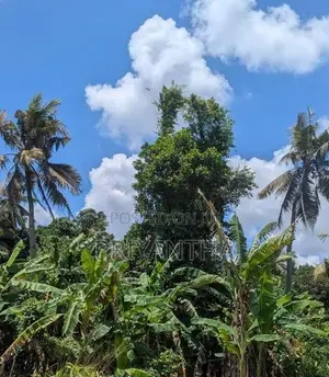 Land for sale in Ragama