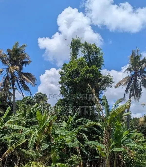 Land for sale in Ragama