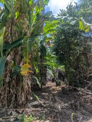 Land for sale in Ragama