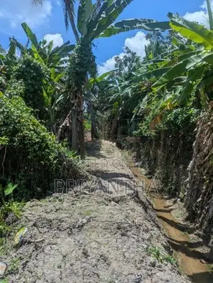 Land for sale in Ragama