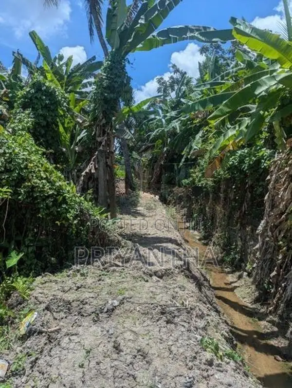 Land for sale in Ragama