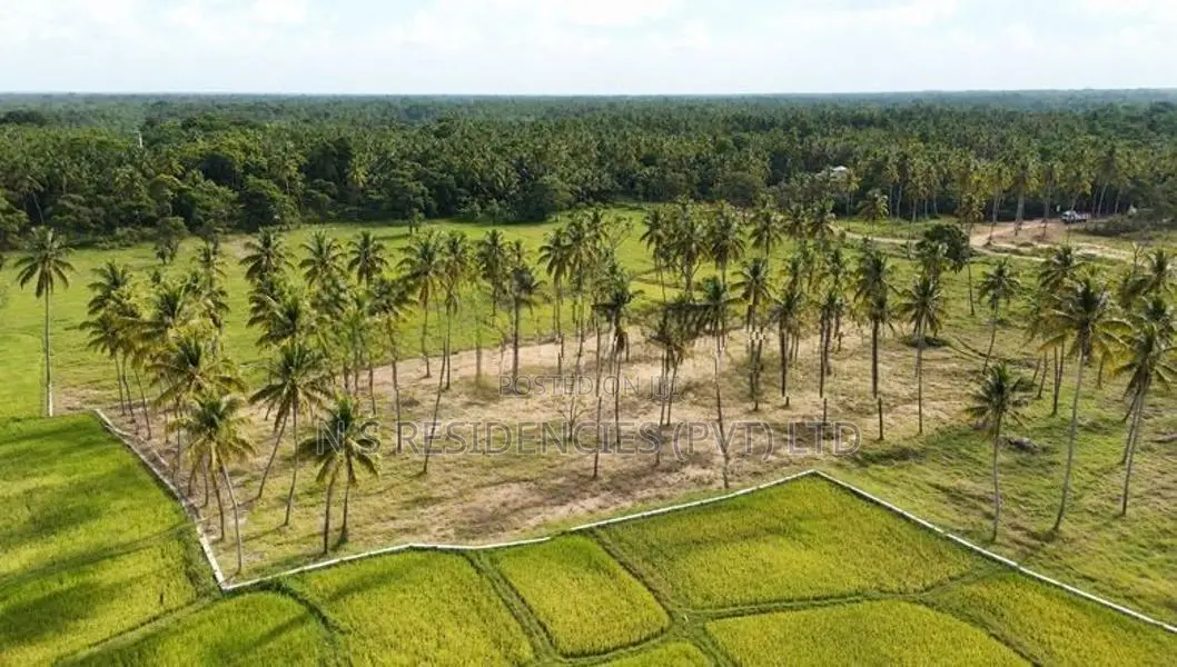 Developed Residential Property in Padeniya P10